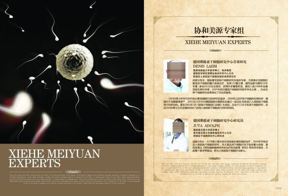 8000只“蜂特工”保卫榕树！厦门市绿化中心携手福建农林大学